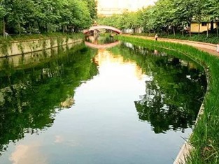 益阳大通湖生态环境保护项目